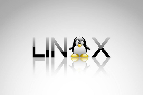 Linux DDoS-Malware Server