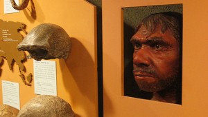 Neandertaler-klonen-Wissenschaft