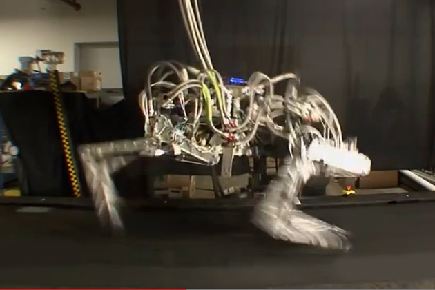 Roboter-Gepard stellt Temporekord auf BSP Grafik