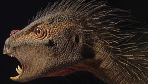 Zwergdinosaurier Compsognathus Pegomastax africanus